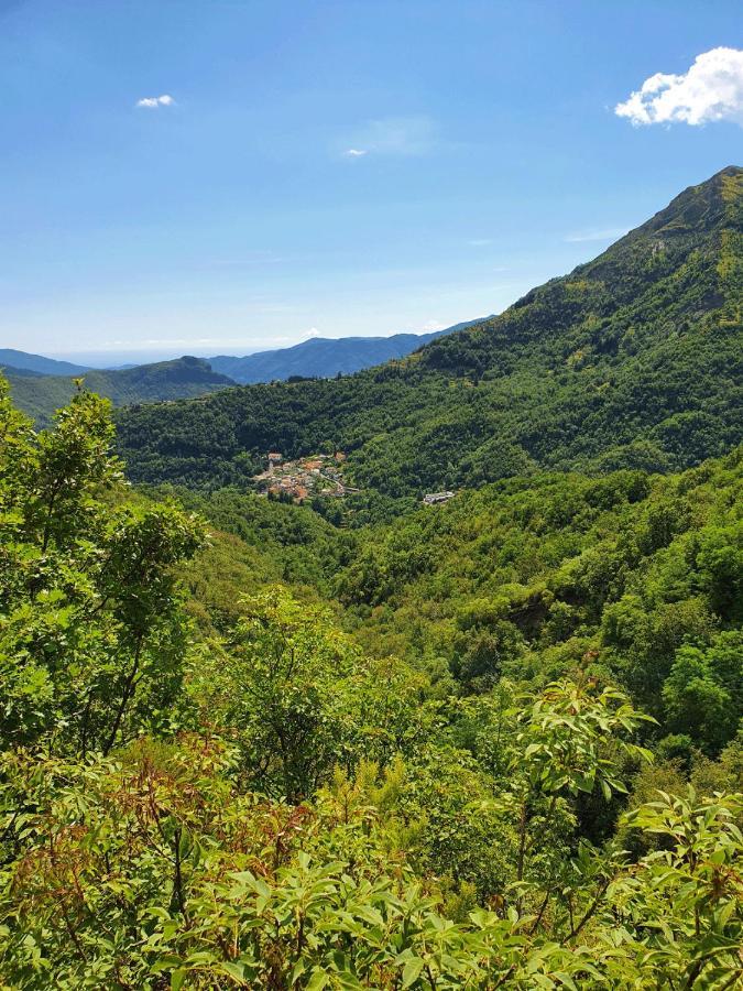 Il Bosco di Campo Marzano Garden Apartments Borzonasca Esterno foto