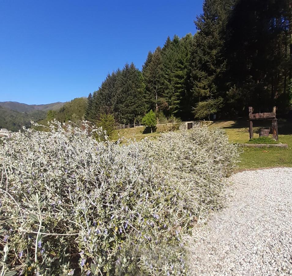 Il Bosco di Campo Marzano Garden Apartments Borzonasca Esterno foto