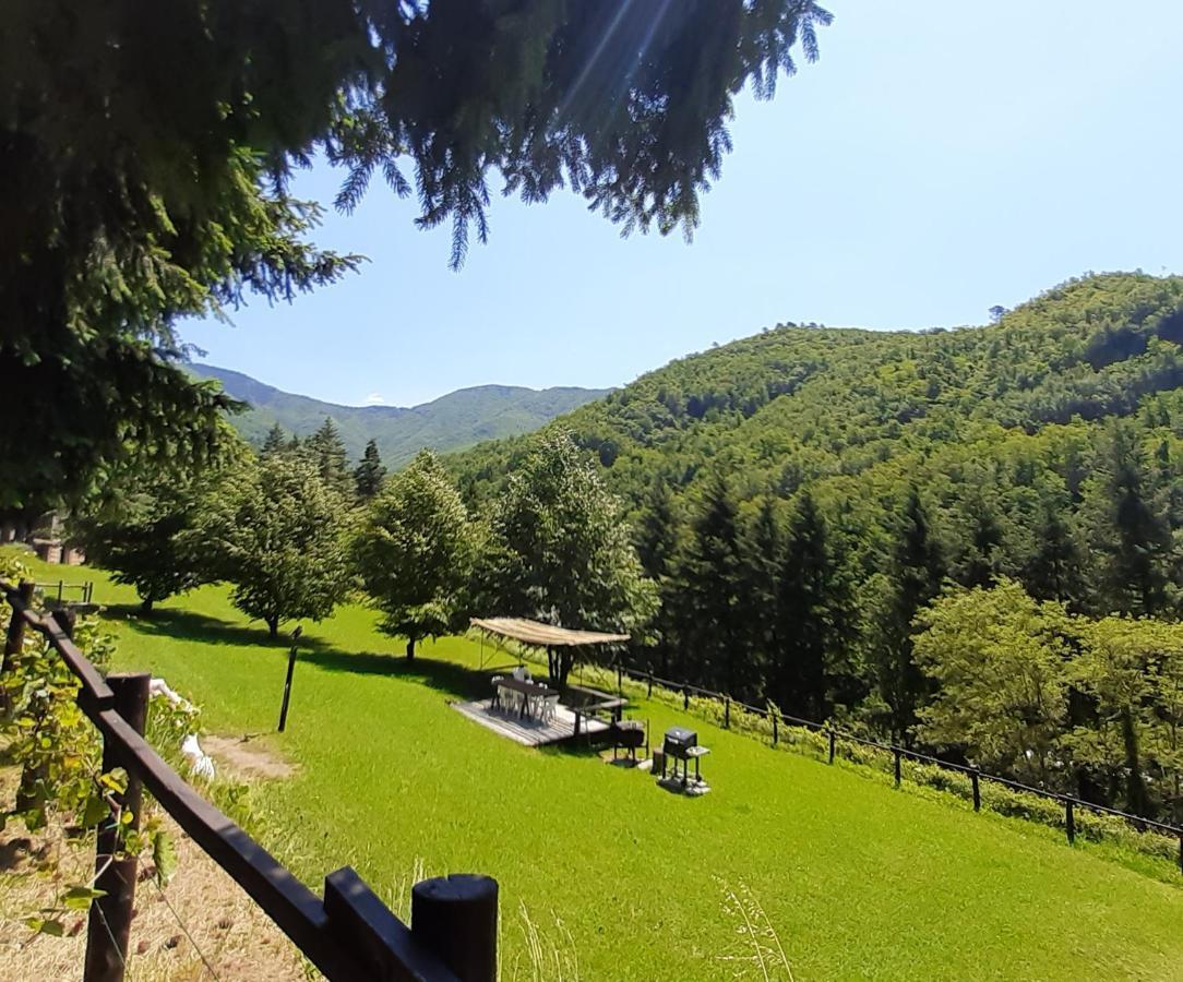 Il Bosco di Campo Marzano Garden Apartments Borzonasca Esterno foto